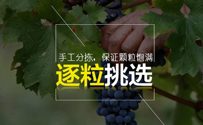 重慶紅酒批發(fā)市場