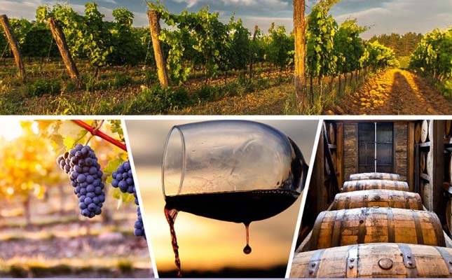 重慶紅酒批發市場