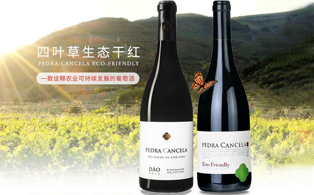 四葉草生態(tài)干紅葡萄酒