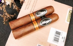 自貢攀枝花瀘州雪茄實體店專賣店哪里有買賣的