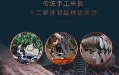 重慶紅酒酒莊有哪些?保稅港萬葡酒業推出酒水主城直供