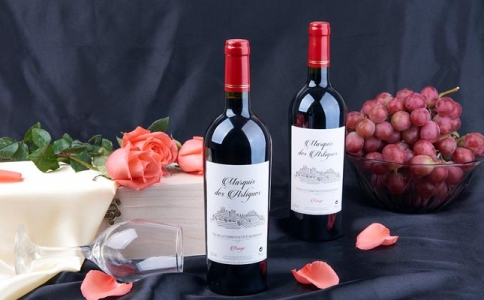 重慶葡萄酒培訓班愛好者體驗葡萄酒和顏色的關系