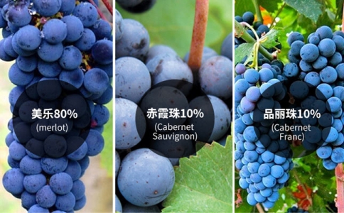 重慶葡萄酒產(chǎn)區(qū) 重慶進口葡萄酒市場 紅酒酒莊旅游